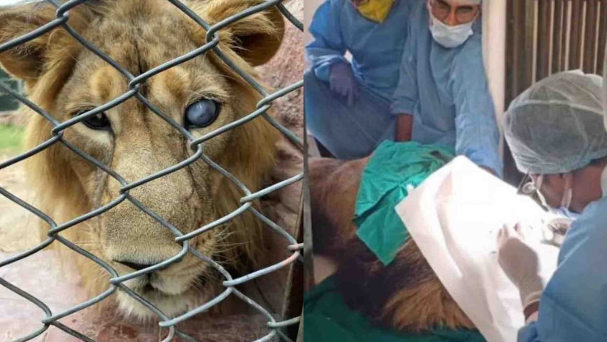 Babbar Sher Riaz underwent cataract and glaucoma operation in Jodhpur.