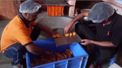 Baghpat famous Balushahi is in demand even abroad, see how it is made