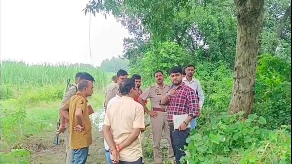 Remains of cattle found on the highway in Pilibhit