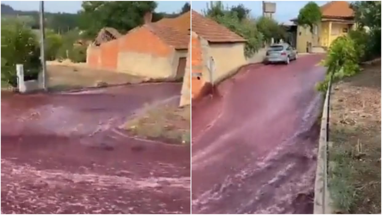 River of red wine Portugal Sao Lorenco de Bairro wine flood fire department