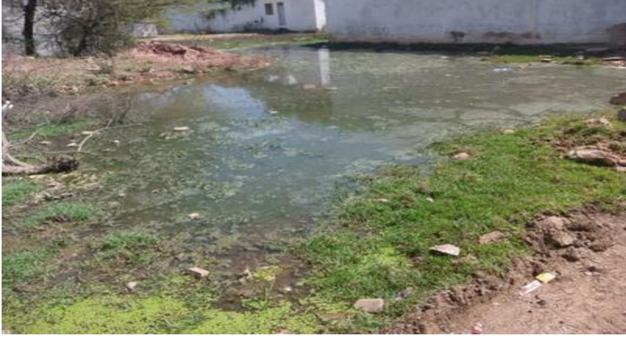 MP Raisens Aubedullaganj development block becomes dengue dengue highest number of patients found