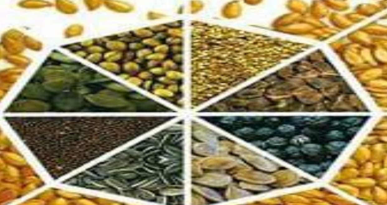 Umaria News Seed licenses of seven shops suspended samples were found to be of poor quality