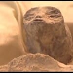 alien found in Mexico was alive