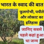 फाइल फोटो।