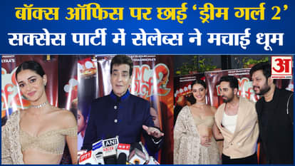 Dream Girl 2 dominated the box office, celebrities created a stir at the success party