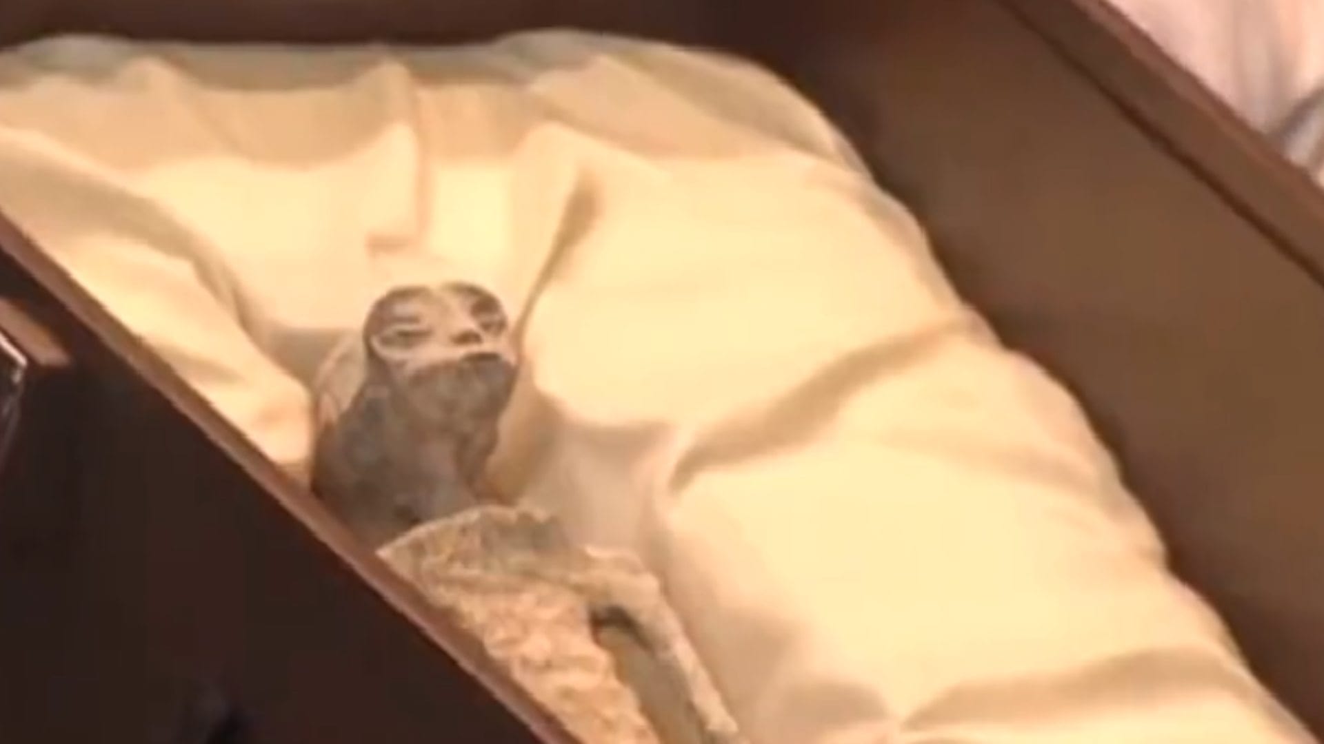 Mexico scientists Unveils Two Alien Corpses Believed To Be 1,000 Years Old