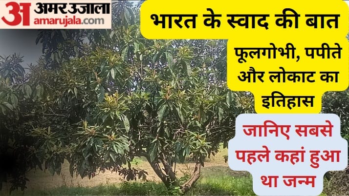 Amar Ujala Special Report : Do you know where cauliflower, loquat and papaya were born