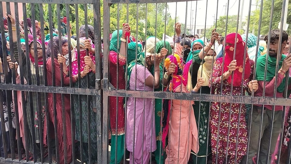 MNREGA workers demonstrated in Fatehabad, accused irrigation department of not giving money