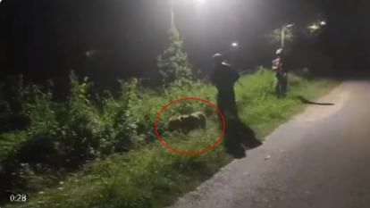 J&K: राजोरी मुठभेड़ में एक आतंकी ढेर, जवान भी शहीद, गोली लगने से लैब्राडोर डॉग केंट की मौत; तलाशी अभियान जारी Rajouri Encounter between security forces and terrorists Indian Army dog Kent Killed