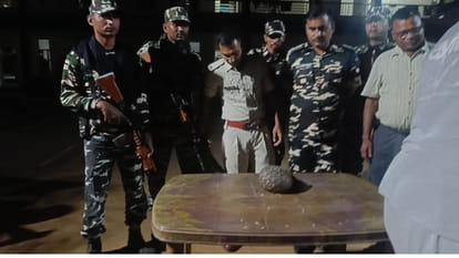 Bihar Pangolin being smuggled in Gaya recovered joint action of Sashastra Seema Bal and Forest Department