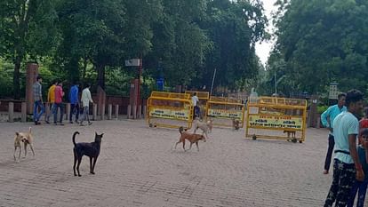 Police barrier at Taj Mahal East Gate in Agra there terror of stray dogs from ticket house to roads
