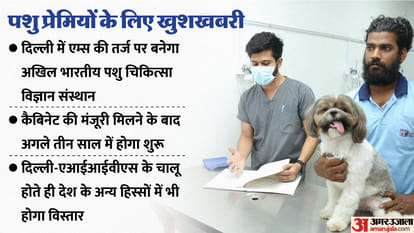 Veterinary: Good news for animal lovers, super specialty hospital like AIIMS will open for animals in Delhi