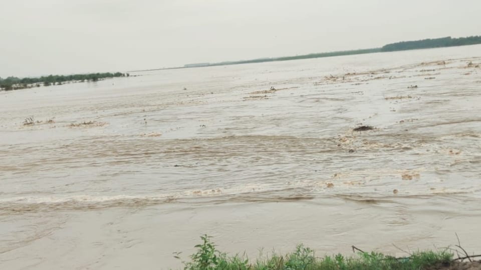 500 bighas of land submerged in Ramganga