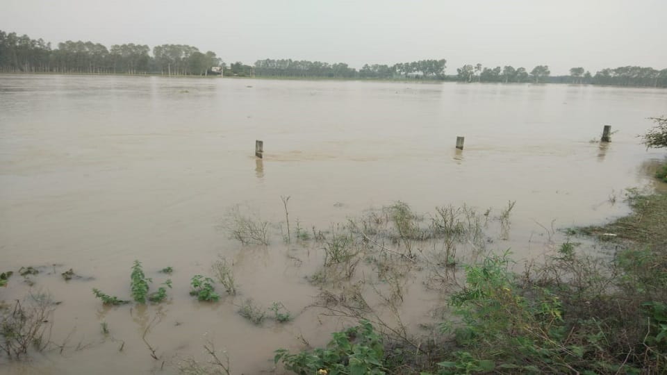 35 people dead in floods so far in Tamil Nadu more than 11 tonnes of food items dropped in affected areas
