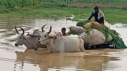 बदायूं में बाढ़: दातागंज से शाहजहांपुर को जोड़ने वाले दो पुलों पर आवागमन बंद, लोगों की बढ़ीं मुश्किलें Traffic closed on two bridges connecting Dataganj to Shahjahanpur due to flood