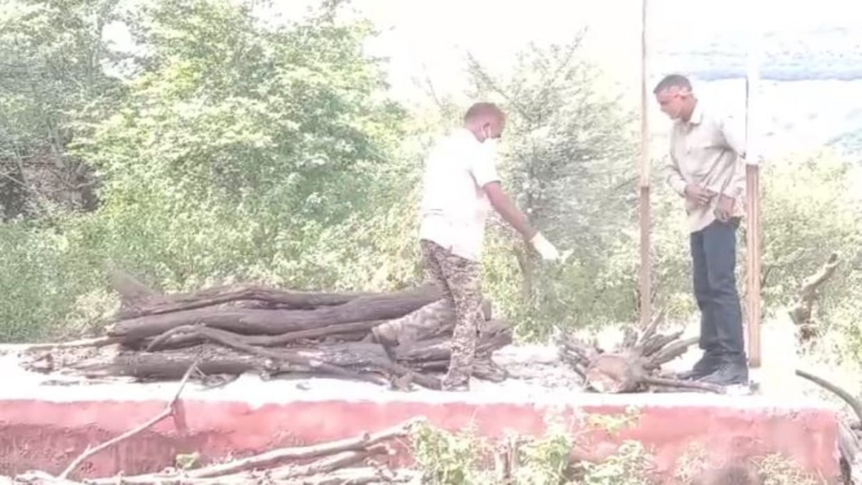 Sawai Madhopur Leopard dies in tiger attack in Ranthambore Tiger Reserve