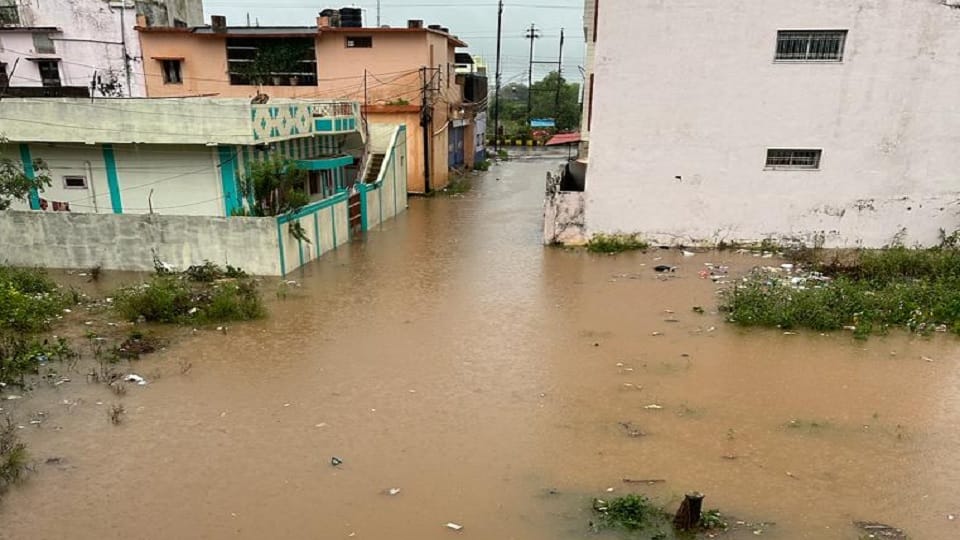 Collector gave instructions declare holiday in schools of flood affected area in Kabirdham