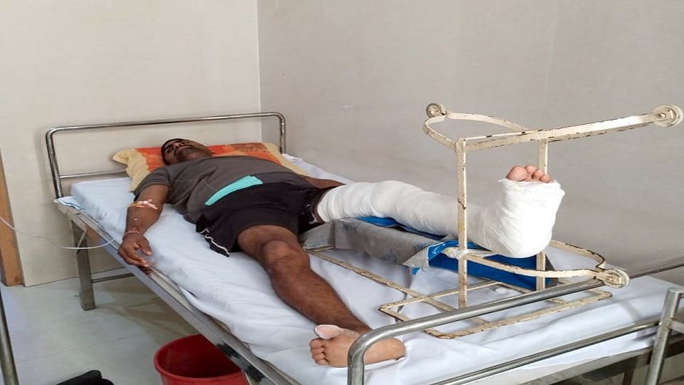 Elephants attack farmers in Nighasan Lakhimpur Kheri
