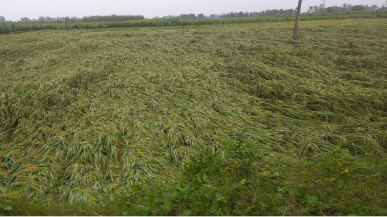 Yellow alert in West UP: Weather became pleasant due to rain in Meerut, but water entered houses