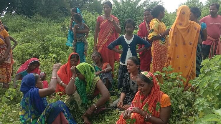 Bihar Crime News: बांका के कटोरिया नगर पंचायत में पेड़ से लटका मिला युवक शव, पुलिस मामले की जांच में जुटी