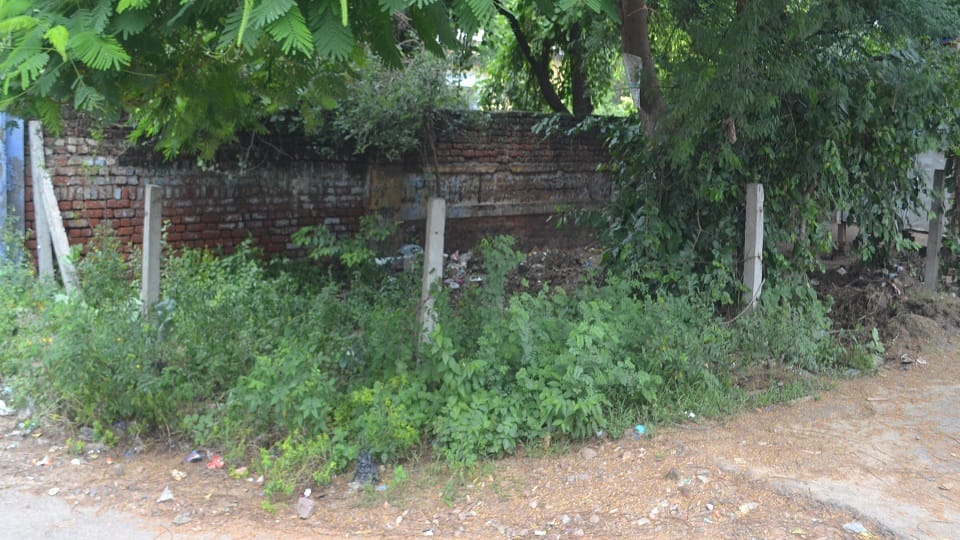 Green plaque of Agra Road lost to encroachment