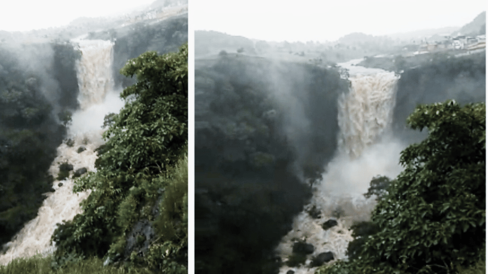 Indore Rain Update Today IMD Severe Rainfall Alert in Madhya Pradesh's Indore News in Hindi