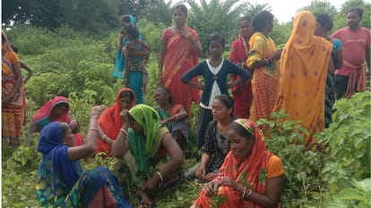 Bihar Crime News: बांका के कटोरिया नगर पंचायत में पेड़ से लटका मिला युवक शव, पुलिस मामले की जांच में जुटी Bihar Dead body hanging from a rope on a mango tree in Katoria Nagar Panchayat of Banka