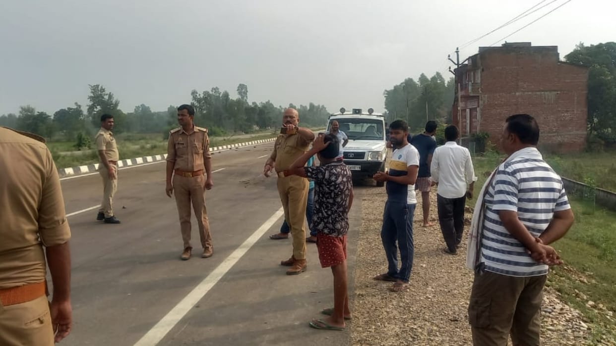 Eight animals died in an accident in Milkipur Ayodhya.