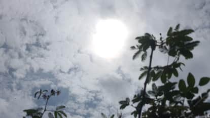 राजधानी में खिली धूप