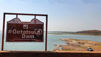 Jharkhand: More than 8000 fish found dead in Ranchi dam; Minister ordered investigation, knows the whole thing Over 8,000 fish die in Ranchi dam, probe ordered
