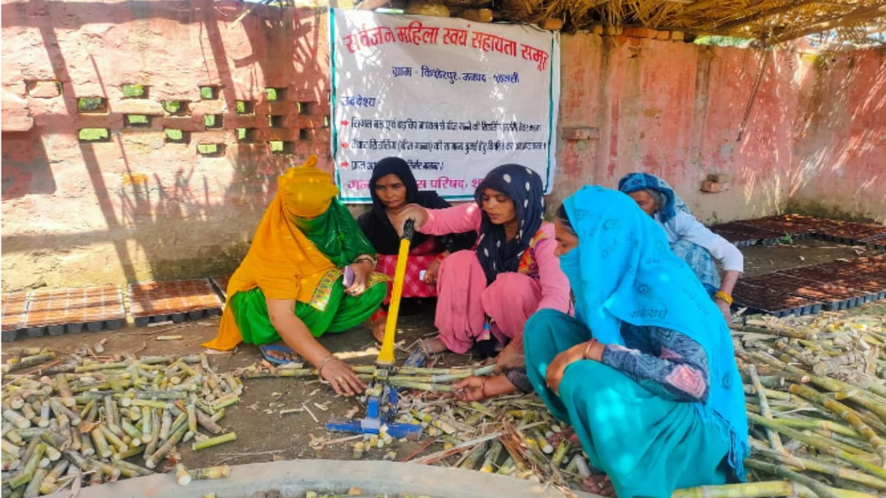 21 women became inspiration for others by preparing sugarcane seeds from organic fertilizer