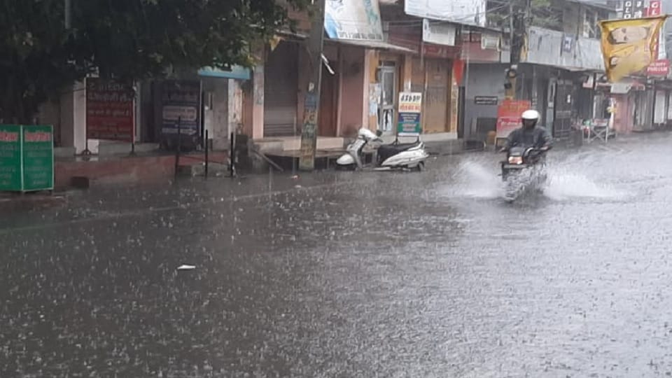 Weather became pleasant due rain in Moradabad, people got relief from heat