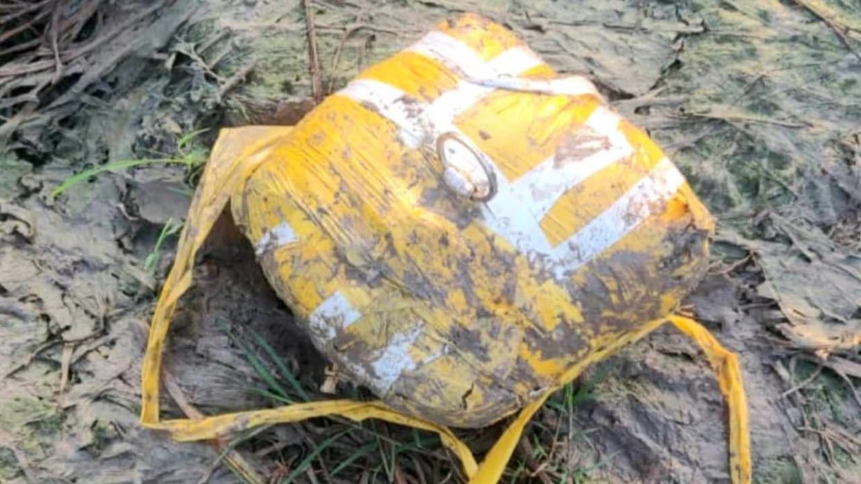Pakistani drone dropped heroin consignment in Firozpur
