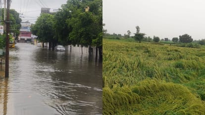 weather news waterlogging and crops damaged due to heavy rains in Bareilly
