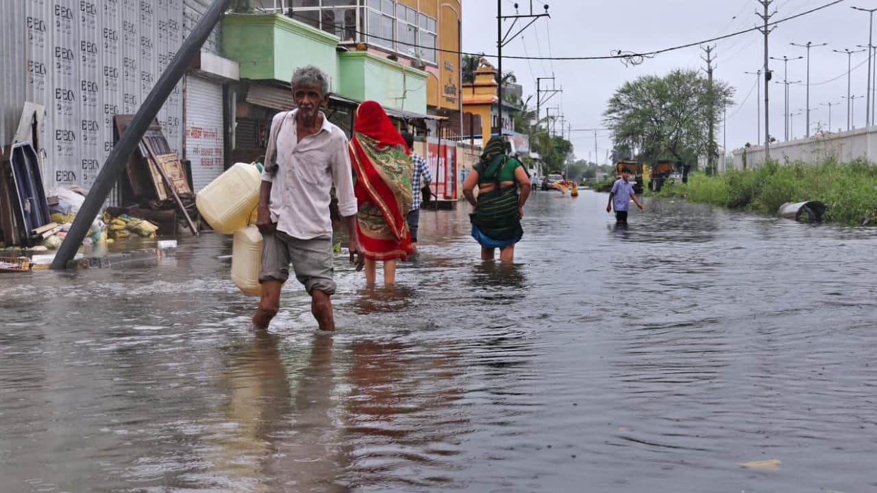 सड़कों पर तालाब बने हुए हैं।