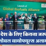 ग्लोबल बायोफ्यूल अलायंस