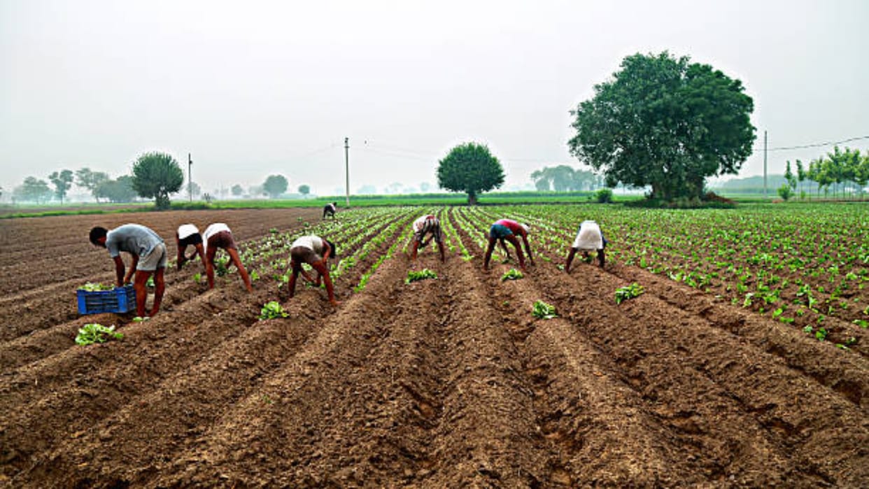 Pm Kisan Samman Nidhi Yojana Ineligible Farmers, Disqualified Beneficiary List PM Kisan News in Hindi