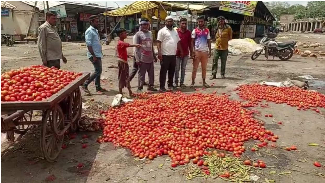 Burhanpur: Rain dropped the prices of vegetables, farmers were forced to sell tomatoes for Rs 200 at Rs 200.