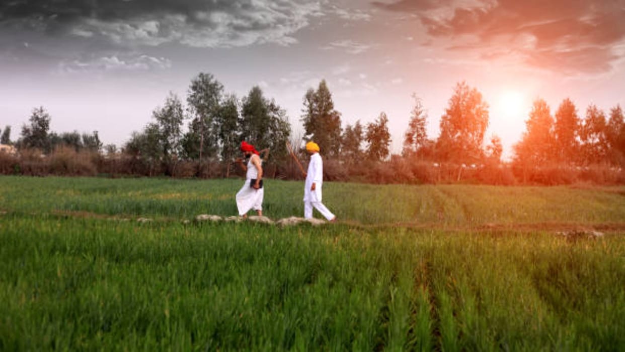 Samman Nidhi sent to 175.28 lakh farmers of UP