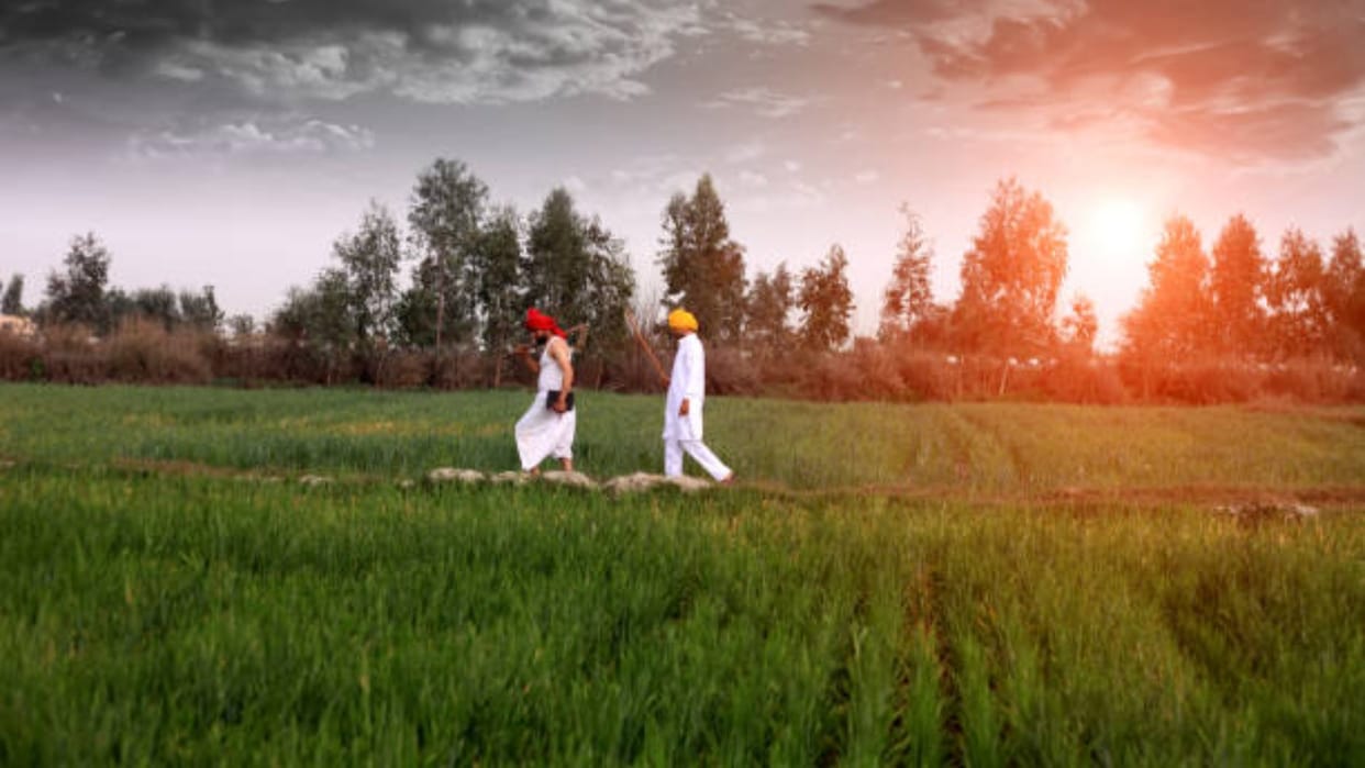 PM Kisan Samman Nidhi Yojana 15th Kist Kab Aayegi, Will Father And Son Both Get Benefit of This Scheme