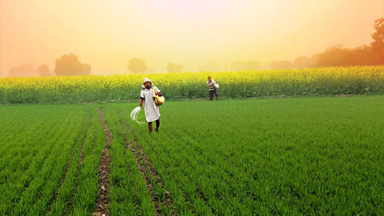 PM Kisan Yojana: pm kisan samman nidhi yojana these farmers did not get money know the reason