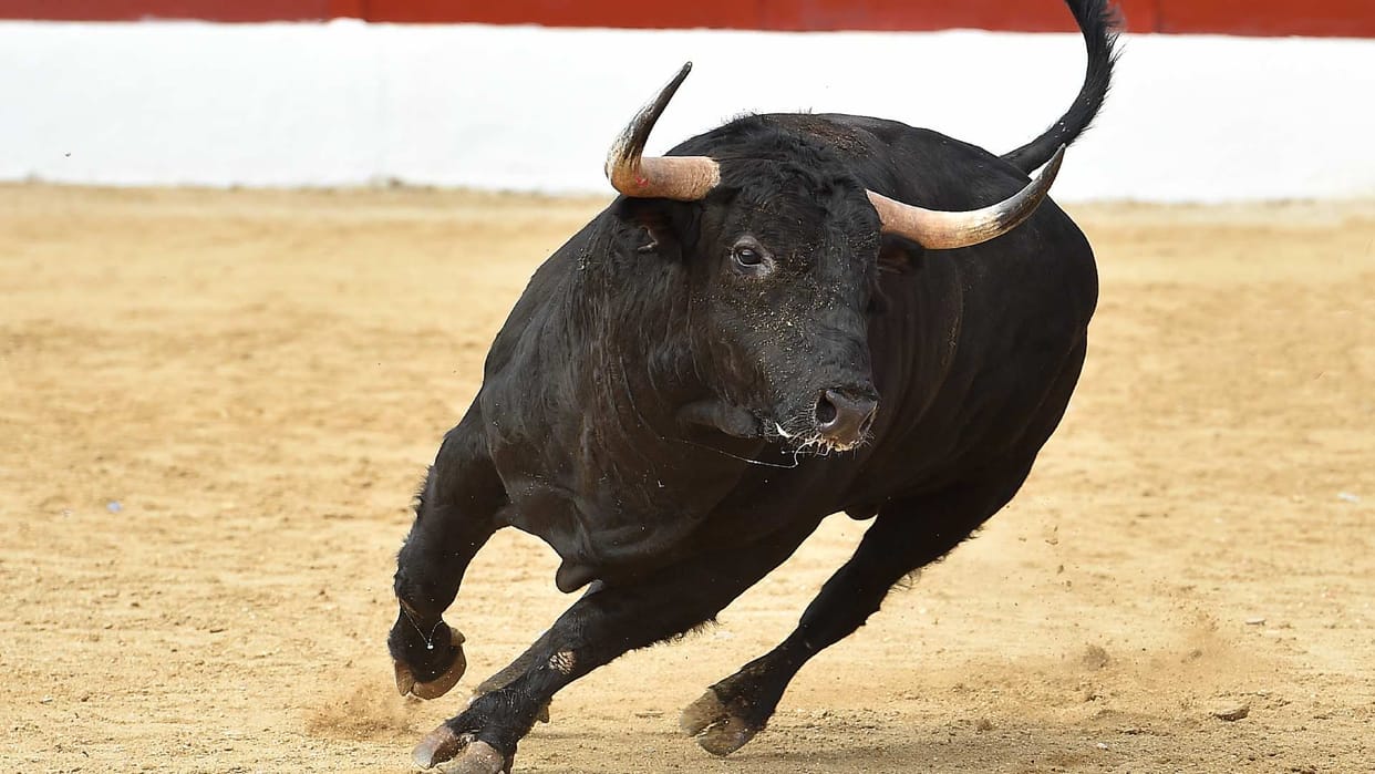 Angry bull suddenly entered the restaurant and attack video goes viral