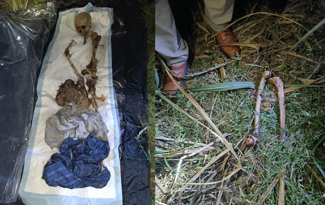 Male skeleton of missing elderly man found four kilometers away, some animal scratched and dragged him