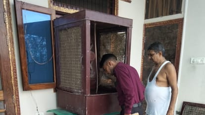 Mosquito larvae thriving in homes in bareilly