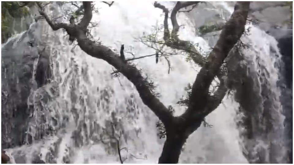 Rajasthan weather 60 mm rain in Mount Abu and 54 mm in Pindwara in 24 hours