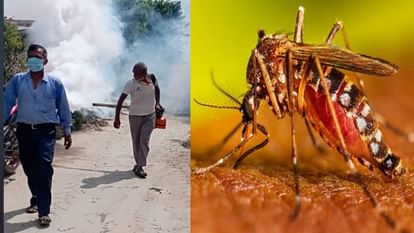 Bihar News : मुजफ्फरपुर में डेंगू से एक की मौत; अब तक मरीजों की संख्या 66, जानें कहां फैल रही बीमारी Bihar News : One patient died due to dengue in SKMCH, Muzaffarpur. Bihar Health Department. health minister