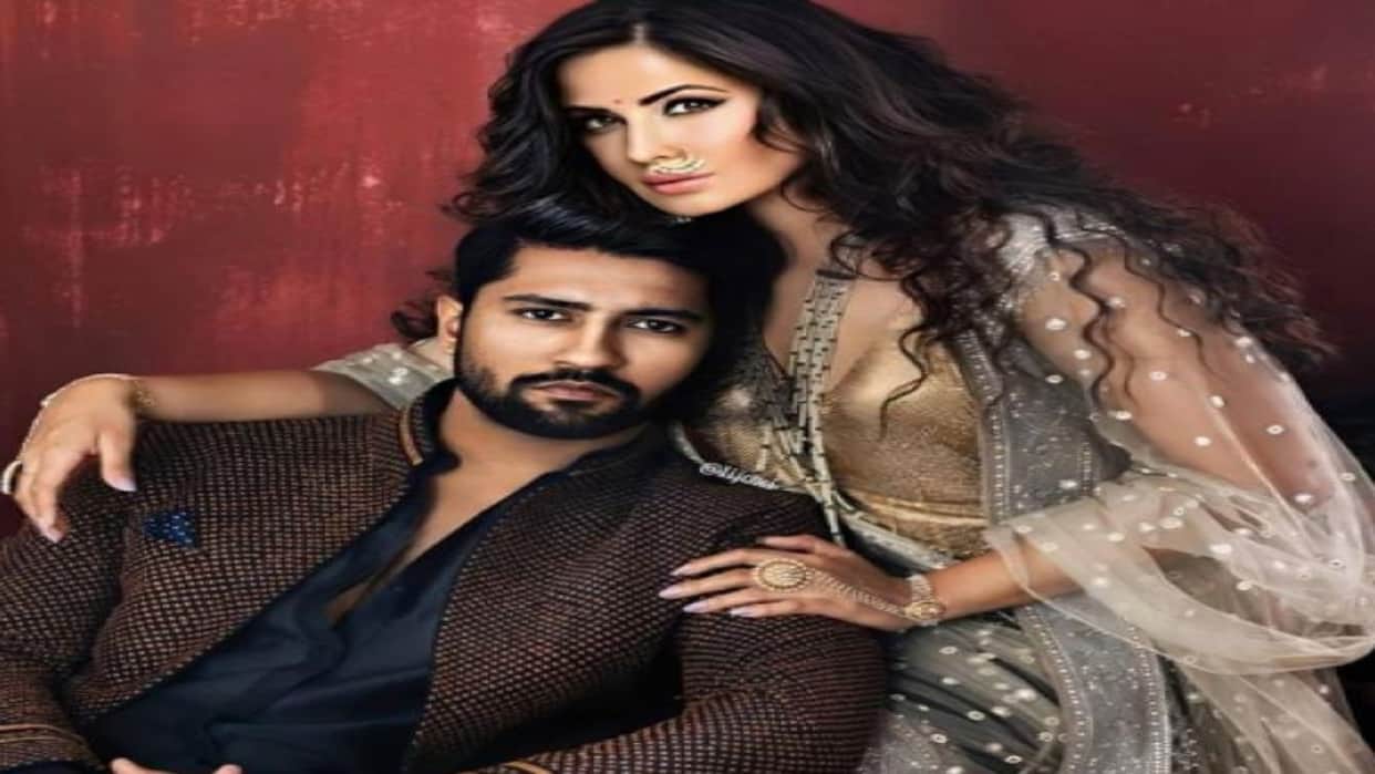 The Great Indian Family Actor Vicky Kaushal Reveal why he is not working with wife and Tiger fame Katrina Kaif