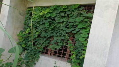 no boundary wall, no door, School in Saharanpur where the children had to study is filled with straw