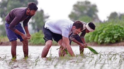 Rahul Gandhi's engagement with the common people and different forms