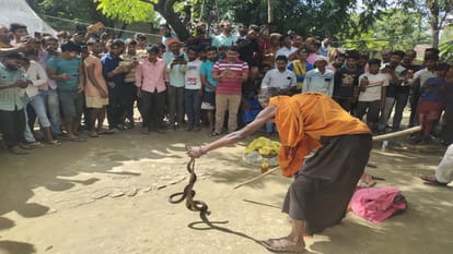 Naag-Nagin pair who killed real brothers were caught, also attacked father